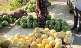 热点吃瓜,吃瓜群众如何解读明星事件